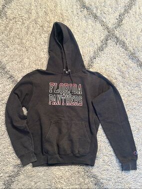 Champion Florida Tech Panthers Hoodie Charcoal Grey Size Small